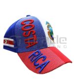 3D Costa Rica Hat
