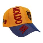 3D Moldova Hat