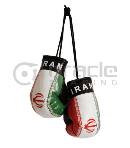 Iran Boxing Gloves