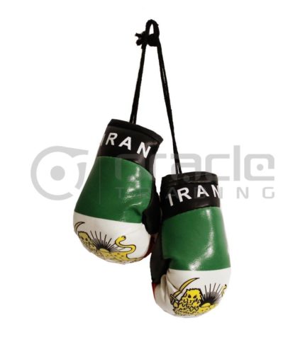 Iran Boxing Gloves - Lion