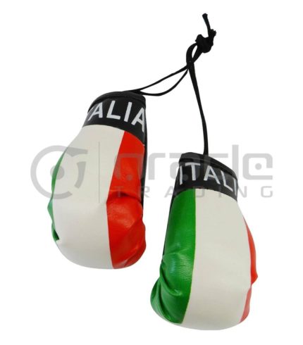 Italia Boxing Gloves (Flag)
