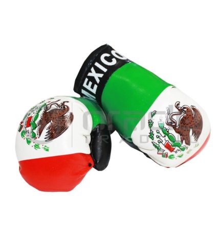 Mexico Boxing Gloves