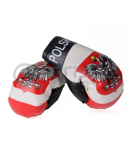 Poland Boxing Gloves
