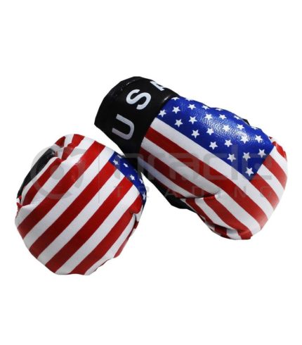 USA Boxing Gloves (United States)