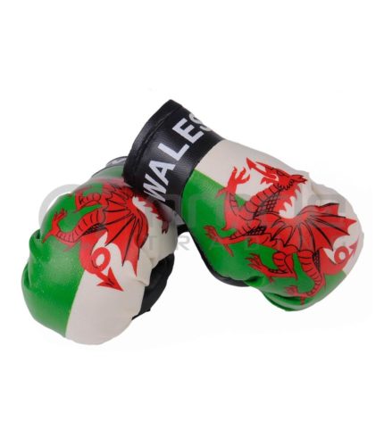 Wales Boxing Gloves