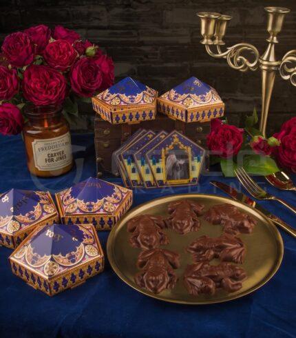 Harry Potter Chocolate Frog Mold Set