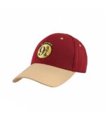 Harry Potter Hat - Hogwarts Express