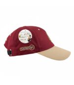 Harry Potter Hat - Hogwarts Express