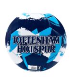 Tottenham Large Soccer Ball - Paint