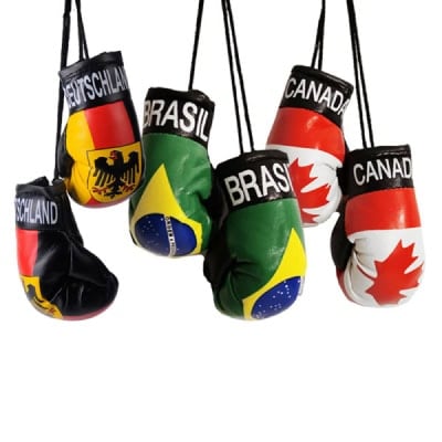 world cup mini boxing gloves wc26
